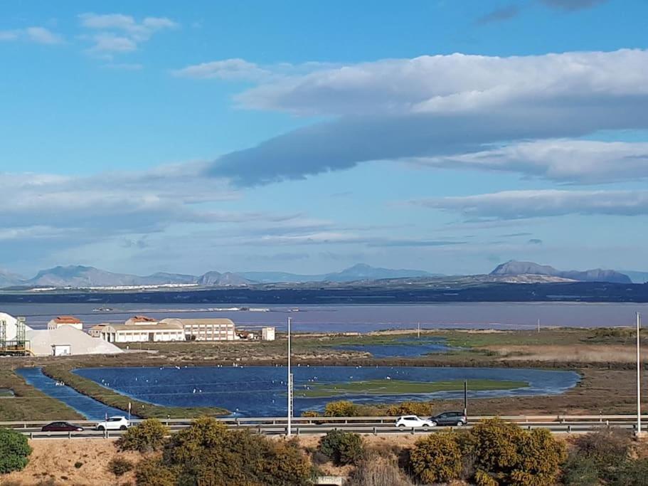 Apartament Flamingo Z Basenem Torrevieja Extérieur photo