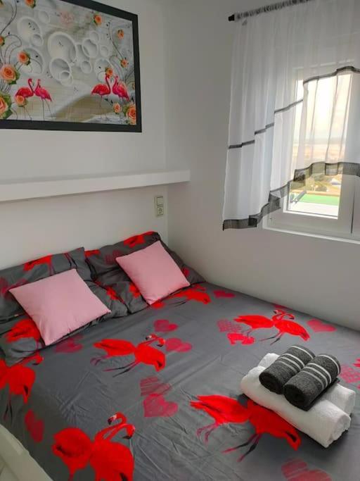 Apartament Flamingo Z Basenem Torrevieja Extérieur photo